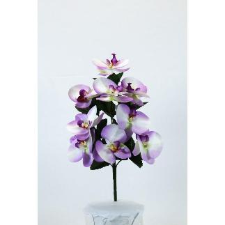 L. CYMBIDIUMS X9 LILA