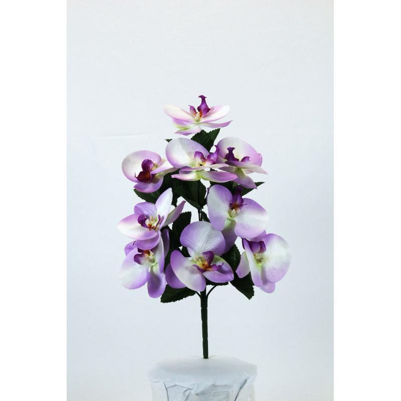 L. CYMBIDIUMS X9 LILA