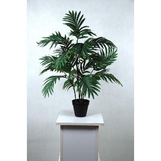PALMERA FENIX 70 CTM