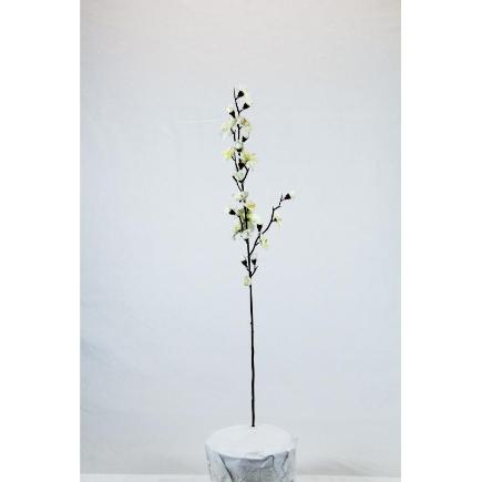 VARA ALMENDRO BLANCO