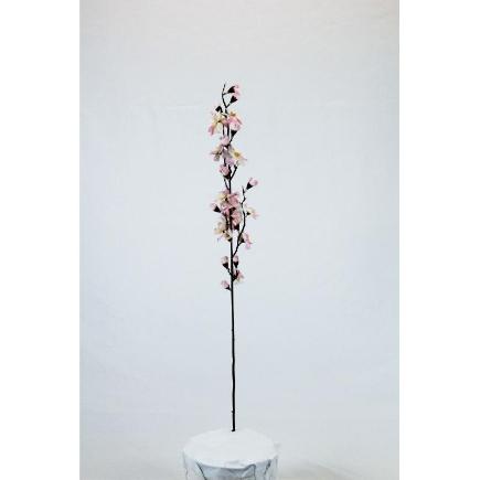 VARA ALMENDRO ROSA