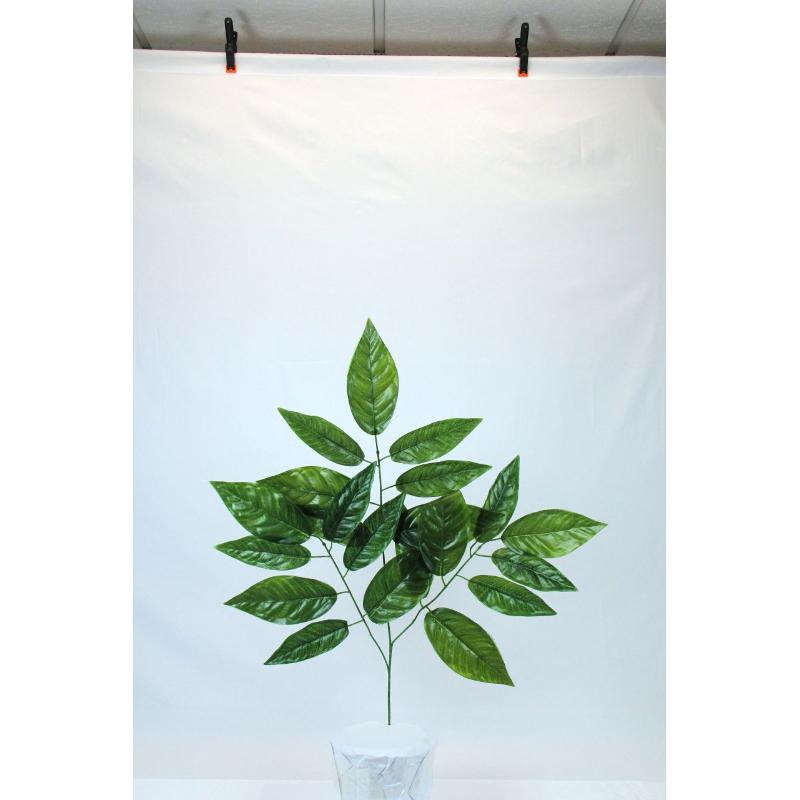 PAQ. 12 VARA DE LAUREL