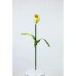 V. TULIPAN REAL TOUCH BLANCO
