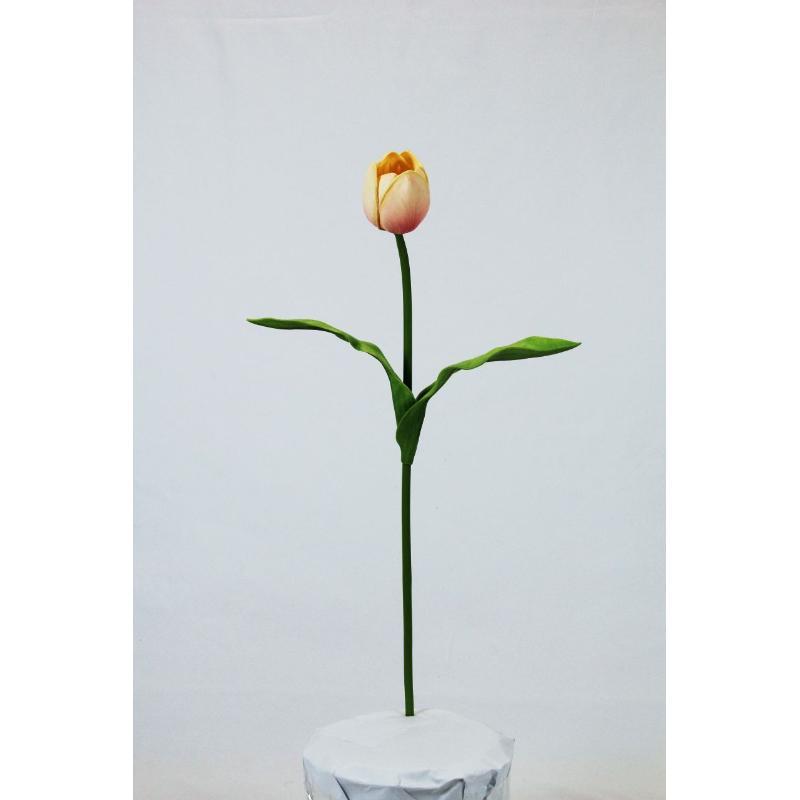 V. TULIPAN REAL TOUCH MELOCOTON