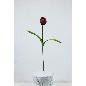 V. TULIPAN REAL TOUCH CICLAMEN