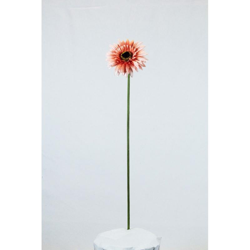 VARA DE GERBERA MELOCOTON