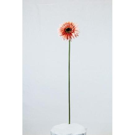 VARA DE GERBERA MELOCOTON