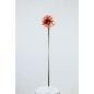 VARA DE GERBERA MELOCOTON