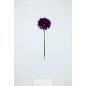 VARA DE GERBERA LILA