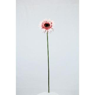 VARA DE GERBERA CREMA