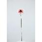 VARA DE GERBERA CREMA