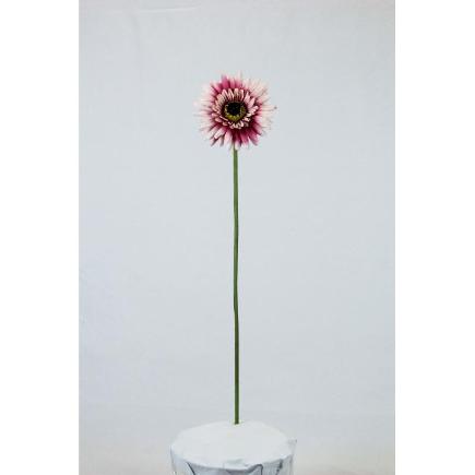 VARA DE GERBERA CICLAMEN