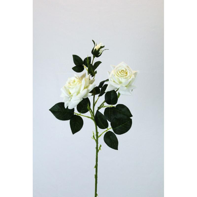 V. ROSAS X3 0 CM BLANCO