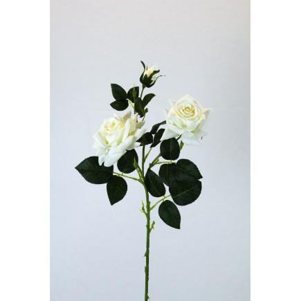 V. ROSAS X3 0 CM BLANCO