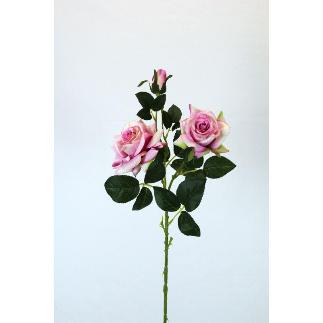 V. ROSAS X3 0 CM ROSA