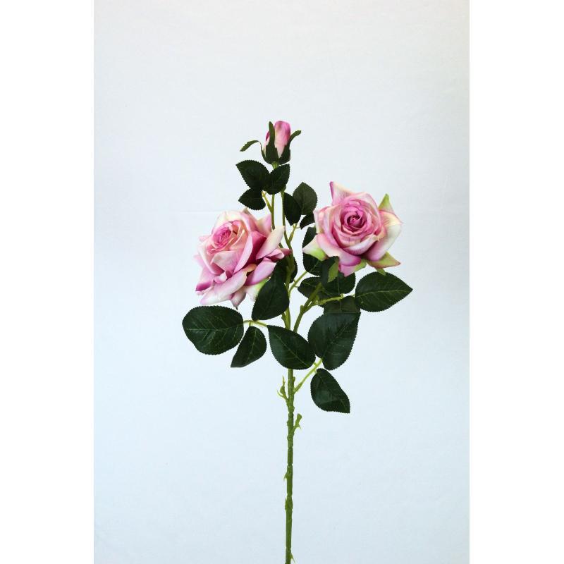 V. ROSAS X3 0 CM ROSA