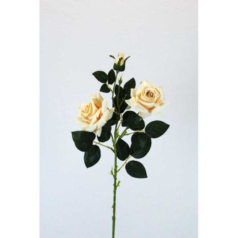 V. ROSAS X3 0 CM BEIGE