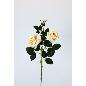 V. ROSAS X3 0 CM BEIGE