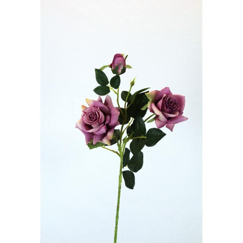 V. ROSAS X3 0 CM CICLAMEN