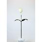 VARA TULIPAN SAT A76 BLANCO