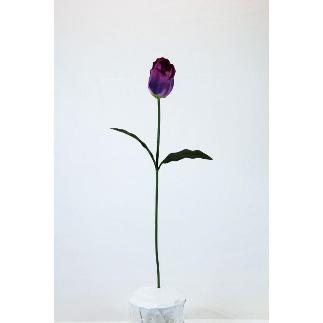 VARA TULIPAN SAT A76 LILA