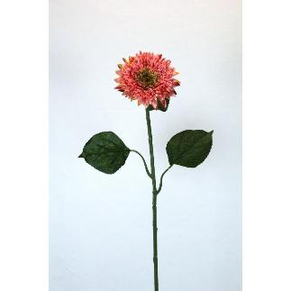 GERBERA MICROP 82 CT MELOCOTON