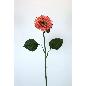 GERBERA MICROP 82 CT MELOCOTON