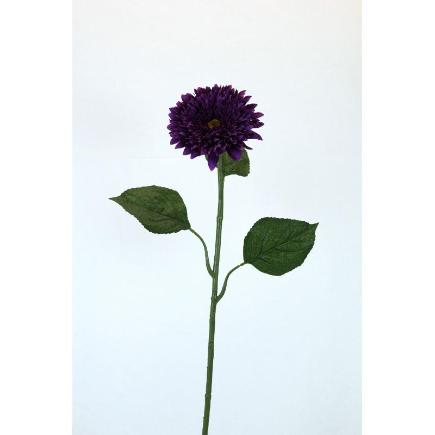 GERBERA MICROP 82 CT MALVA