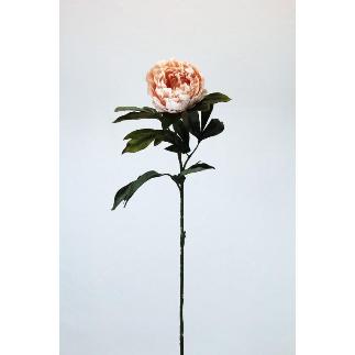 VARA PEONIA OTOÑAL MELOCOTON