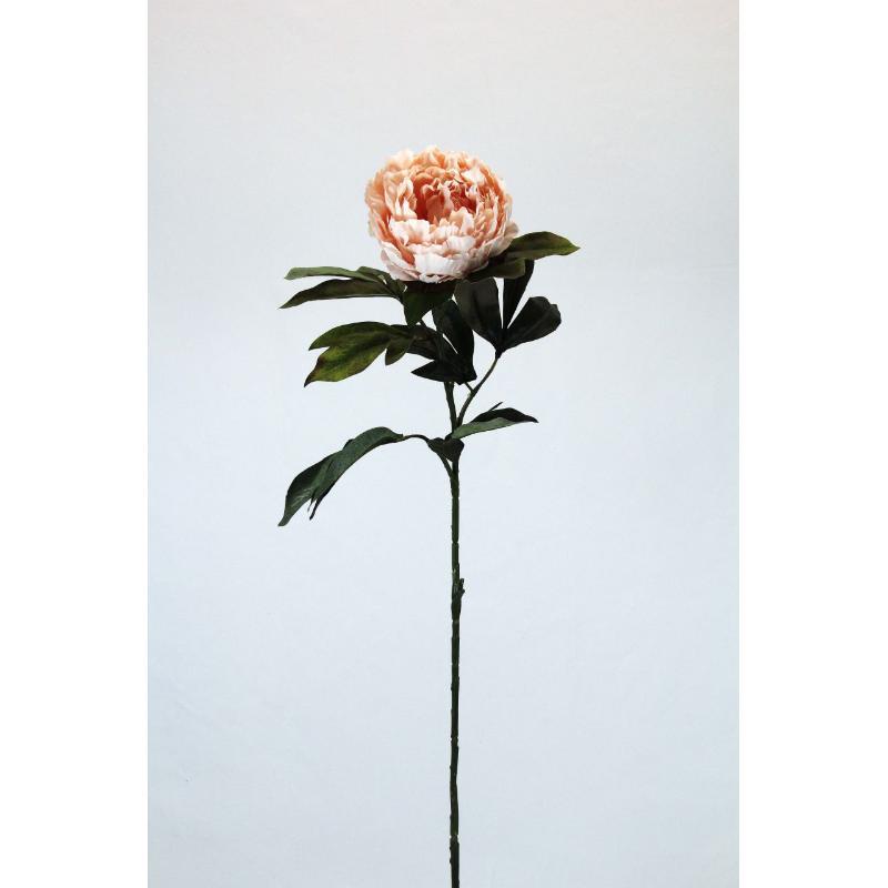 VARA PEONIA OTOÑAL MELOCOTON