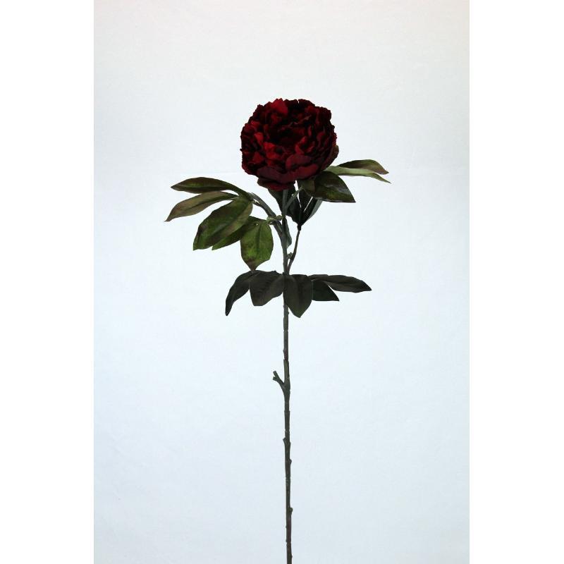 VARA PEONIA OTOÑAL ROJO