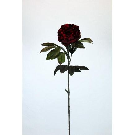 VARA PEONIA OTOÑAL ROJO