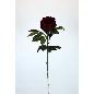 VARA PEONIA OTOÑAL ROJO