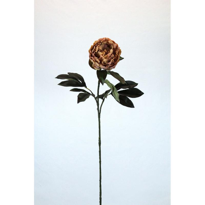 VARA PEONIA OTOÑAL BEIGE