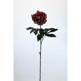VARA PEONIA OTOÑAL MARRON