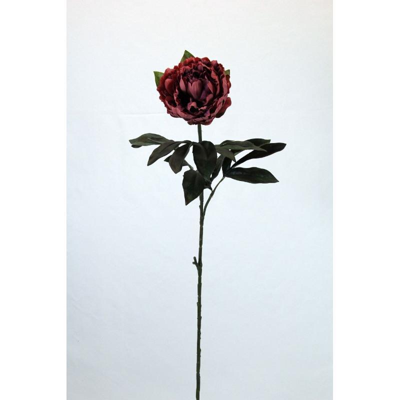 VARA PEONIA OTOÑAL MARRON