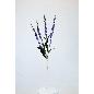 V.LAVANDA X4 68 CM LILA