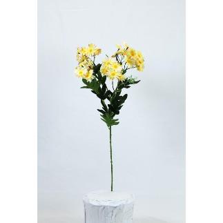 V.MARGARITA X6 54 CM MELOCOTON