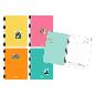AGENDA ESCOLAR TROPICAL 4 D P CARTON -26-27