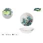 SET-6 BOL CARTON TROPIC 450CC ALGON