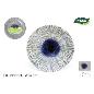 SET-8 PLATOS CARTON REDONDO IRYS 23 CM ALGON