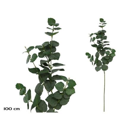 VARA EUCALIPTO X 58 - 100 CM VERDE