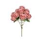 RAMO CAPULLO GIG (A) X10-52 CM ROSA