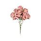 RAMO CAPULLO GIG (A) X10-52 CM MALVA