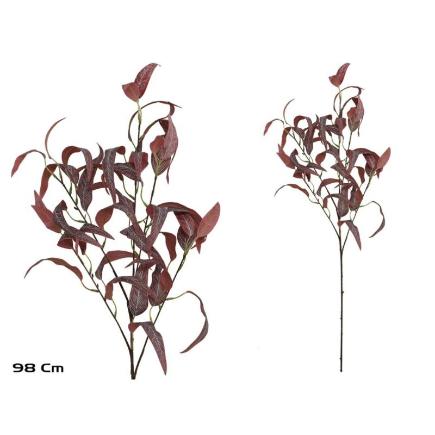 VARA EUCALIPTO X40 - 98 CM BURDEOS