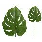 VARA HOJA MONSTERA 55 CM