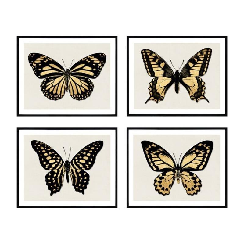 CUADRO MARIPOSAS 4 MODELOS 40X50X1.8 CM