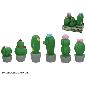 CACTUS GUSS 6 SURT DECO 10.2X10.2X25.4 CM