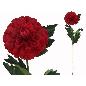 VARA DALIA 73 CM ROJO