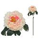 VARA PEONIA 74 CM ROSA